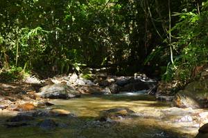 BIB: 
                            <button type="button" onclick="openModal(21853333)" class="btn btn-primary btn-sm float-right btn-popup" data-toggle="modal" data-target=".modal-high-quality">
                        <i class="fas fa-shopping-cart"></i> Add to Cart
                    </button>
                                            <button type="button" onclick="isThisMe(21853333, true)" class="btn btn-success btn-sm float-right btn-popup btn-isme hidden" data-toggle="tooltip" data-placement="bottom" title="นี่คือรูปของคุณใช่ไหม คลิกที่นี่เพื่อเอาเข้าอัลบั้ม">
                        <i class="fas fa-plus"></i> Add to album
                    </button>
                    <button type="button" onclick="isThisMe(21853333, false)" class="btn btn-warning btn-sm float-right btn-popup btn-isnotme hidden">
                        <i class="fas fa-ban"></i> Remove from album
                    </button>